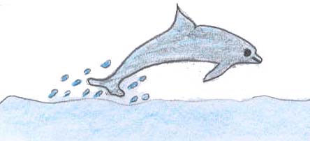 Delfin, Zeichnung: T. Lamp