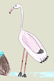 flamingo.jpg (12149 Byte)