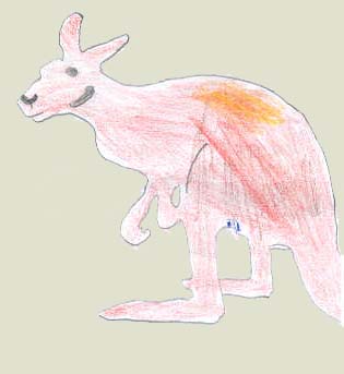 Rotes Riesenkänguru, Zeichnung J.-M. Scholz